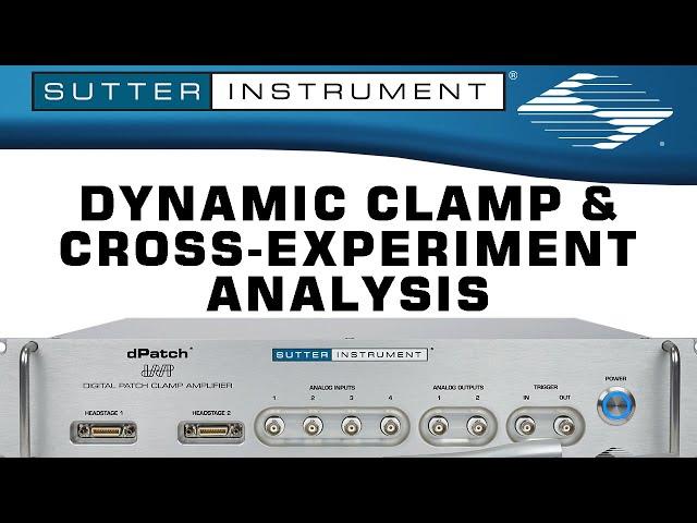 Dynamic Clamp and Cross-Experiment Analysis - Scientists Empowering Scientists