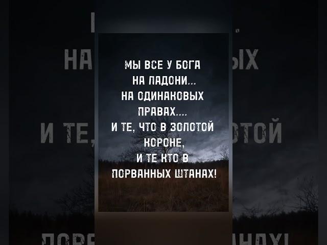 #мудрость #цитаты #мораль