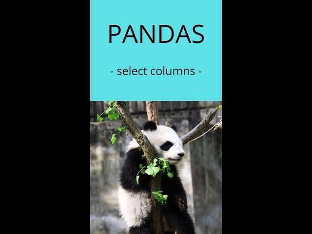 How to select columns in a Pandas DataFrame - Python | 20sec code #Shorts