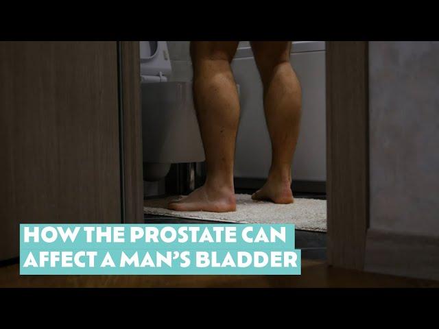 How the prostate can affect men's bathroom habits