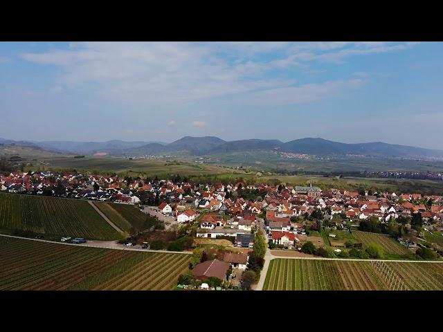 Luftaufnahmen Arzheim,kleine Kalmit, Ilbesheim, 4K Mavic Air