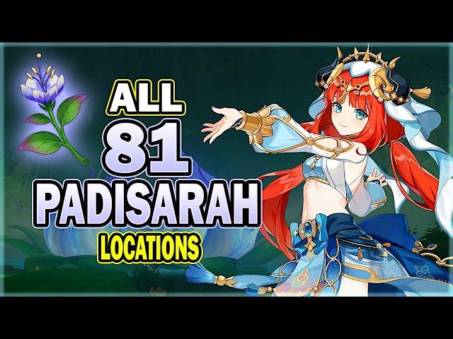 All 81 Padisarah Locations - Efficient Farming Route | Nilou Ascension Material | Genshin Impact