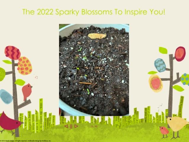 Sparky Blossoms from 2022