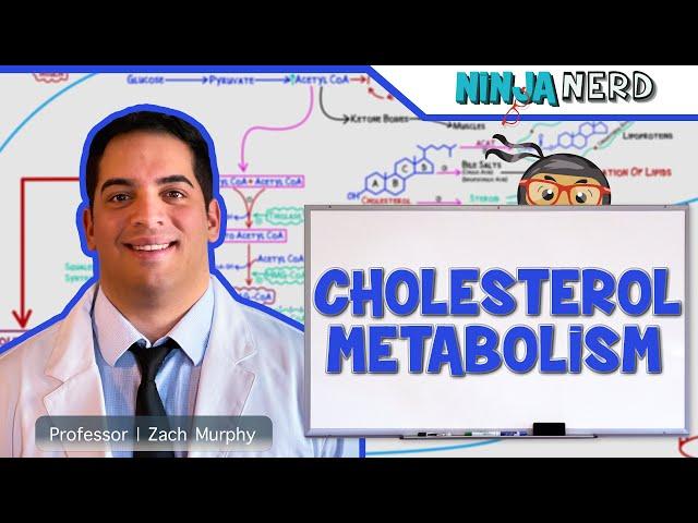 Metabolism | Cholesterol Metabolism