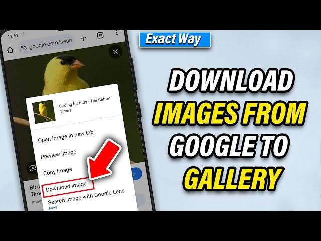 How to Download Images from Google to Gallery [ANY Android]