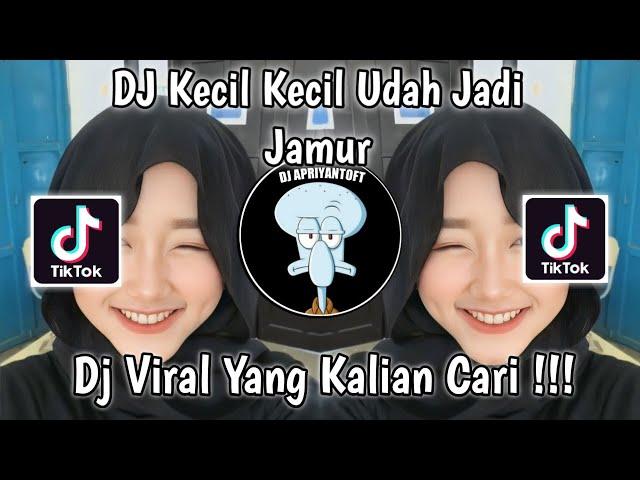 DJ KECIL KECIL UDAH JADI JAMUR JANDA JANDA DIBAWAH UMUR | DJ JAMUR VIRAL TIK TOK TERBARU 2023 !