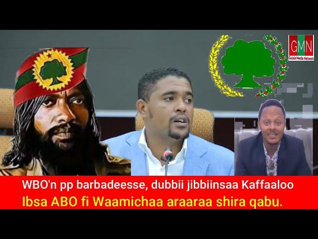 GMN/ 07/04/2024_ Wbo'n Loltoota pp fixe, Jibbiinsa amantaa kaffaaloo Tufaa , ergaa shimalis,ibsa ABO