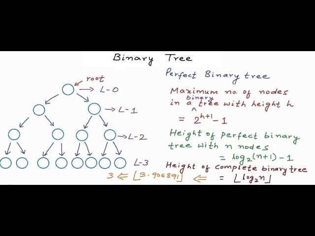 Data structures: Binary Tree