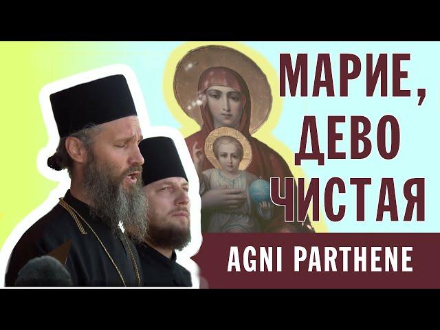 МАРИЕ, ДЕВО ЧИСТАЯ | AGNI PARTHENE | ХОР БРАТИИ ВАЛААМСКОГО МОНАСТЫРЯ