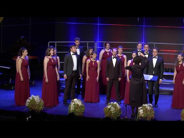 EINSAMKEIT, Hans Koesler - COLLEGIUM MUSICUM BERLIN CHAMBER CHOIR