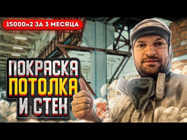 Обзор объекта. 15000м2. Покраска потолка и стен на производстве. Супер Маляры #покраска #побелка