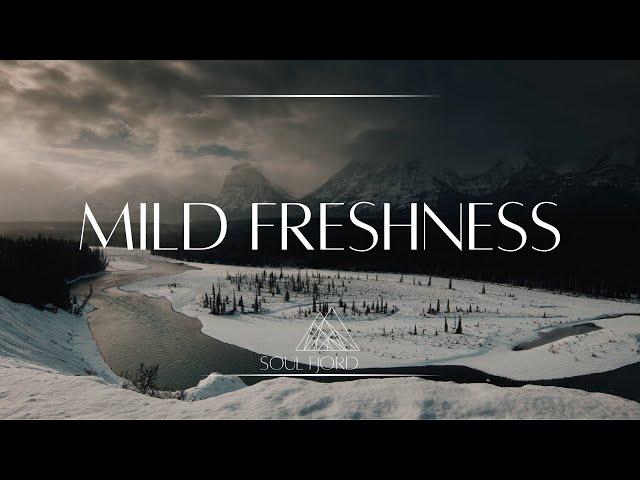 Mild freshness | Ambient music | relaxing & healing & meditation & study