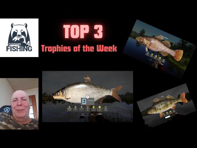 Russian Fishing 4 - My Top 3 Trophies of the last Week