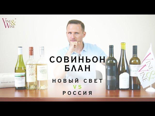 Совиньон Блан: Новый Свет VS Россия