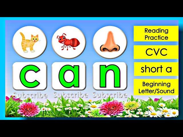 LETTER SOUNDS FOR LITTLE ONE | The Letter Sound Song | Cher Ey Bi Si