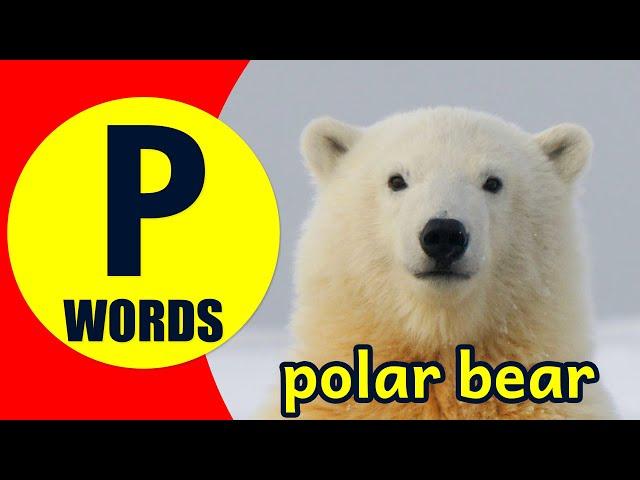 Words Starting With P - Learn Words that Start with P Sound