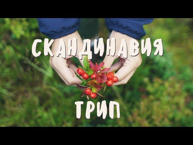 Питер - Стокгольм - Осло - И дальше по Норвегии | tipopolina