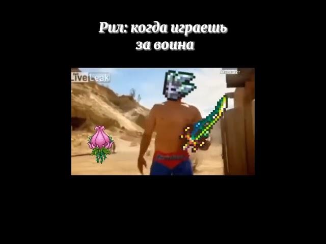 Ты когда играешь за война #terraria #shorts