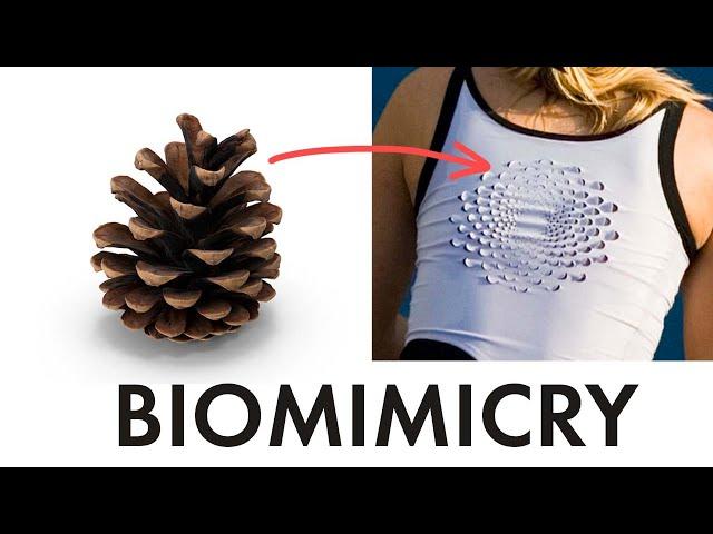 Biomimicry has massive potential. Why aren't designers using it?