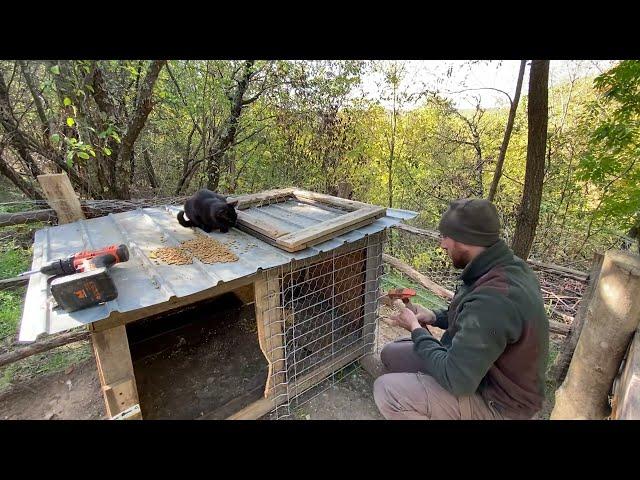 How does the happiness of a mountain man living alongside his animals look.