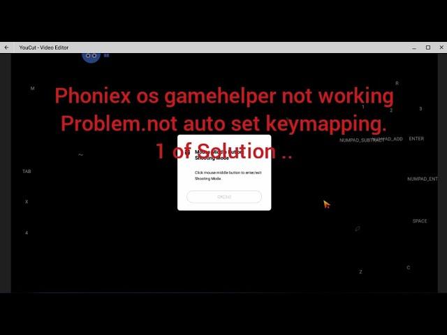 Phoniex os game helper not working.not auto set key mapping.