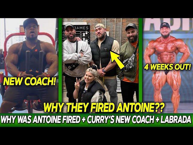 Why HD Muscle FIRED Antoine Vaillant?? + Brandon Curry's New Coach! + Hunter Labrada 4 Weeks Out!