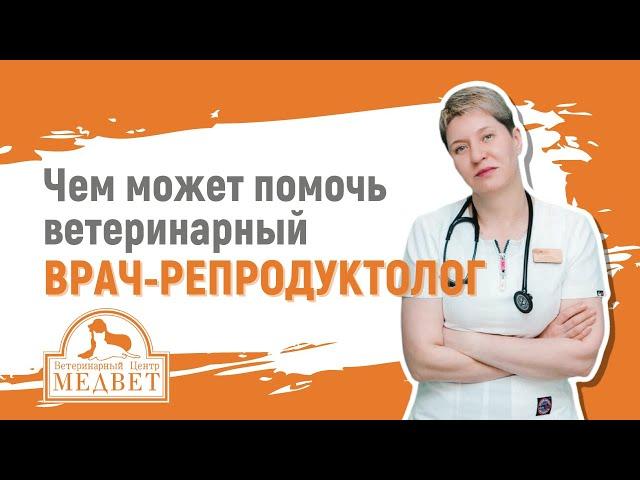 Для чего нужен ветеринарный врач-репродуктолог?