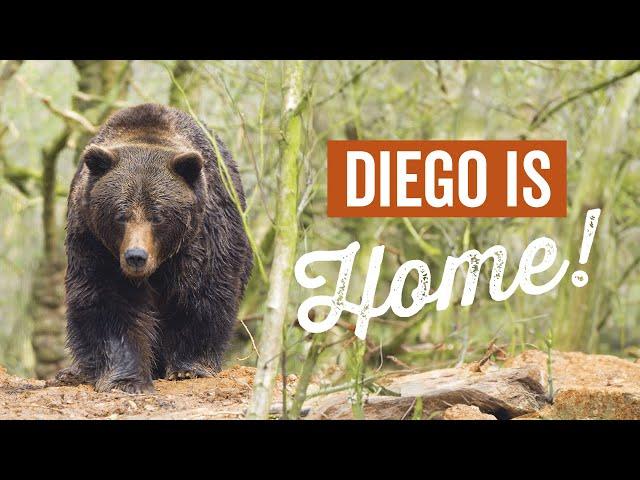 Diego is home! 