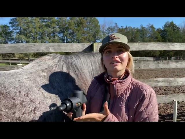 Equine Massage: Using a massage gun on horses