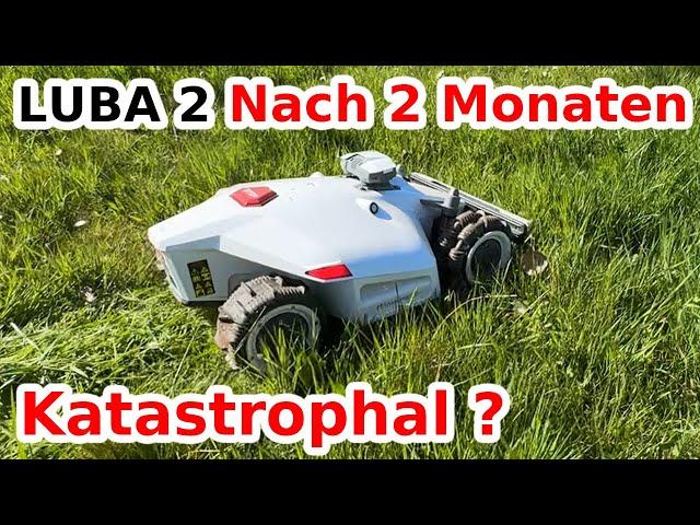 ️ERFAHRUNGSBERICHT Mähroboter LUBA 2 (was niemand Ihnen sagt...)