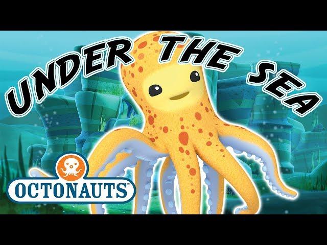 Octonauts - Under The Sea | Cartoons for Kids | Underwater Sea Education