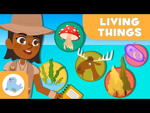 The Classification of Living Things   5 ANIMAL KINGDOMS  Science for Kids