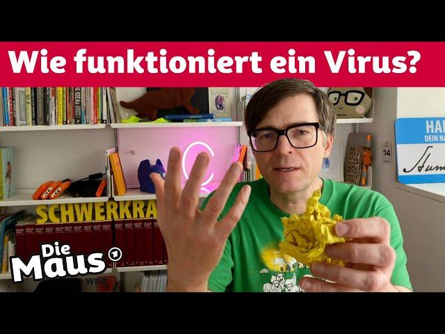 Was macht ein Virus im Körper? | Corona-Fragen | DieMaus | WDR