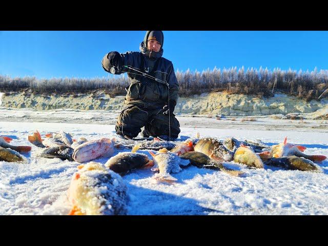 РВУТСЯ ЛЕСКИ! ГНУТСЯ БАГРЫ! ПЕРВЫЙ ЛЁД ЯКУТИИ! ЗИМНЯЯ РЫБАЛКА