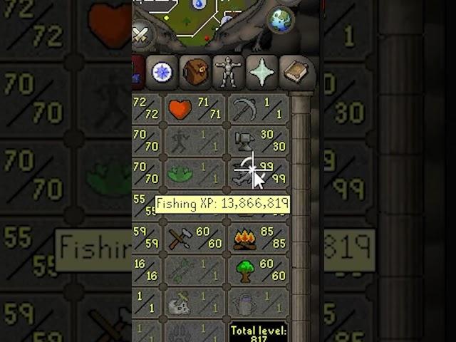 I botted 99 fishing in OSRS while traveling. Ty Jagex