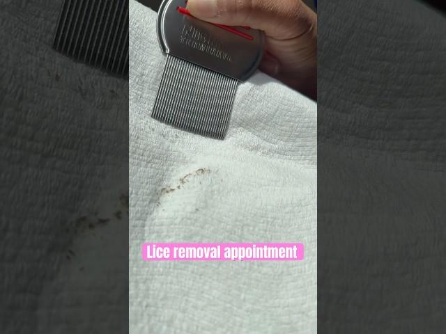 Lice removal appointment l lice services