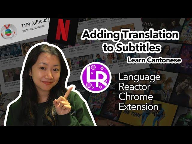 Language Reactor Chrome Extension Tutorial