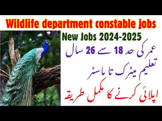 Wildlife Department new jobs in Pakistan 2024 | Government jobs 2024 | Wildlife jobs apply online