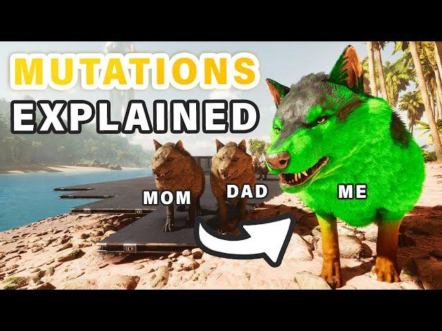 How to Stack or Move Mutations | Breeding Mutations Explained Ingame ► Ark Survival Ascended