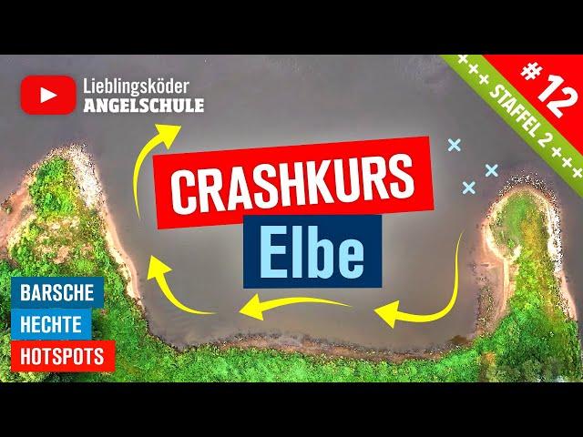 BARSCH + HECHT angeln in der Elbe   (Crashkurs für Einsteiger)