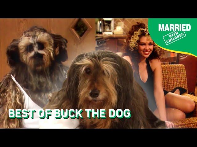 Best Of Buck The Dog | Married With Children