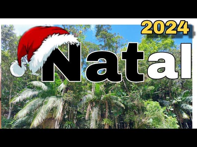 O Espírito Natalino na Família Naturista| Como está a preparação para o Natal 2024