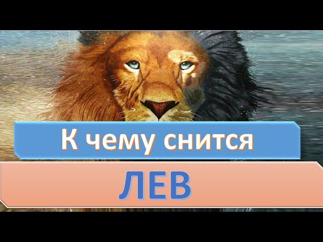 К чему снится ЛЕВ (ЛЬВЕНОК) | СОННИК