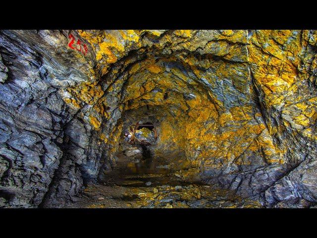 Exposing the Dark History of Gold: A Global Investigation