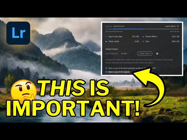 Are You Using Lightroom's MOST IMPORTANT Setting?