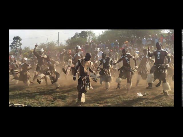 AMAZING ZULU WARRIOR DANCE - SOUTH AFRICA