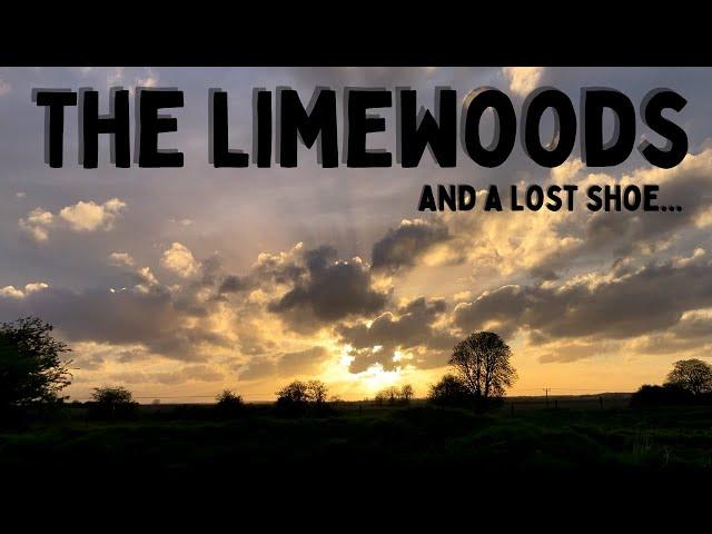 The LIMEWOODS and a Lost Shoe | Hiking Ancient Woodland in Lincolnshire | Tupholme and Bardney Abbey