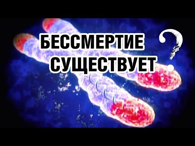 СЕНСАЦИЯ ИЛИ ПРОВОКАЦИЯ - Бессмертие Мёртвых. Документальные фильмы, детективы онлайн.