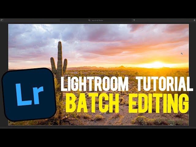 Adobe Lightroom 2022 Tutorial | Batch Editing