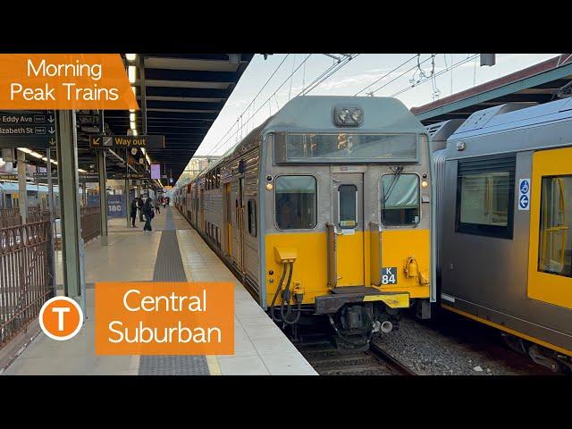 Transport for Sydney Vlog 464: Central Suburban Part 3 - Morning Peak Trains